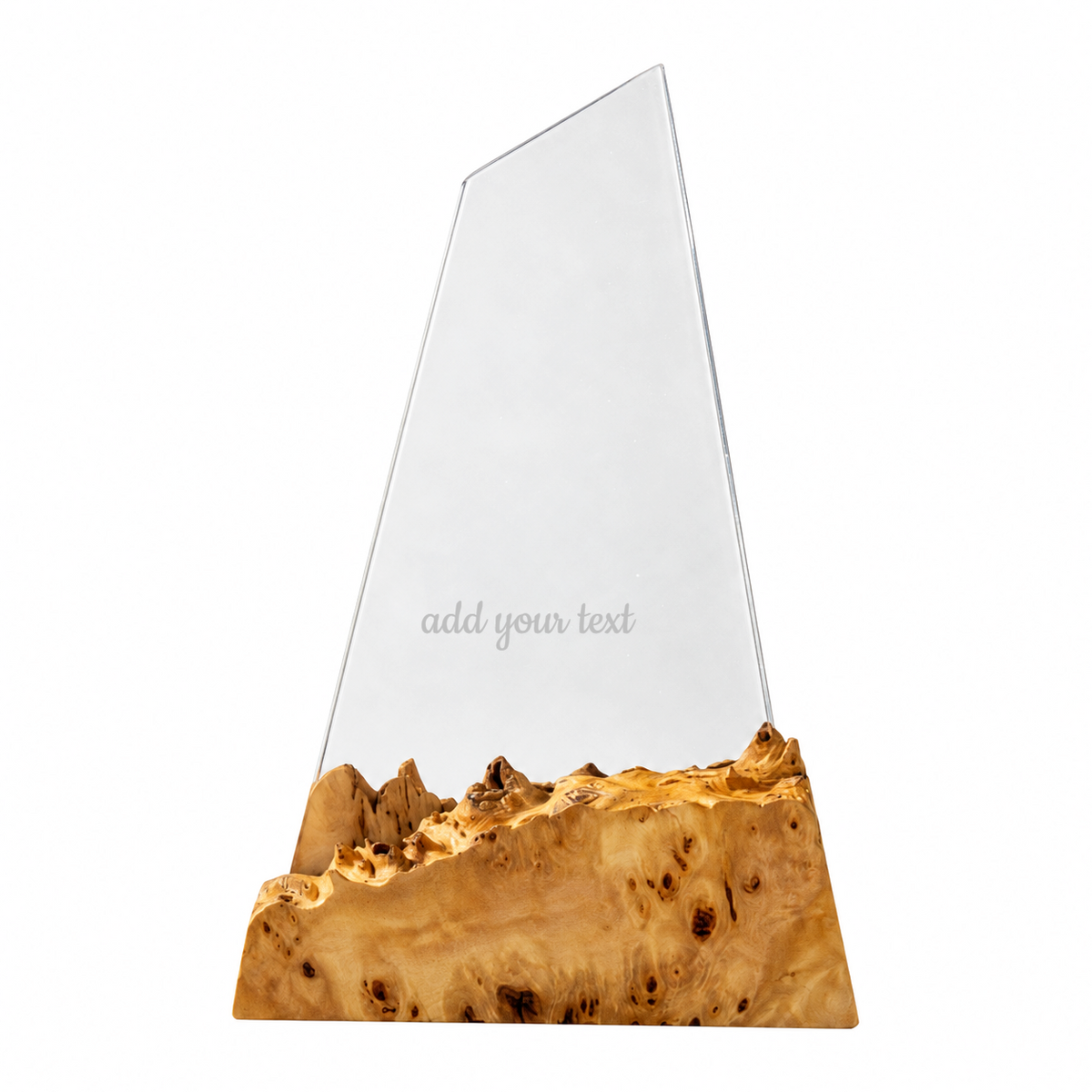 Clear epoxy award plaque on a knot-flecked elm burl base with an 'add your text' engraving placeholder