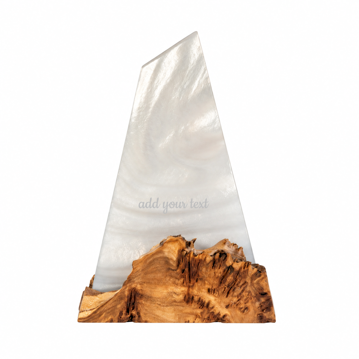 Platinum epoxy award plaque on a rugged burled elm base with an 'add your text' engraving placeholder