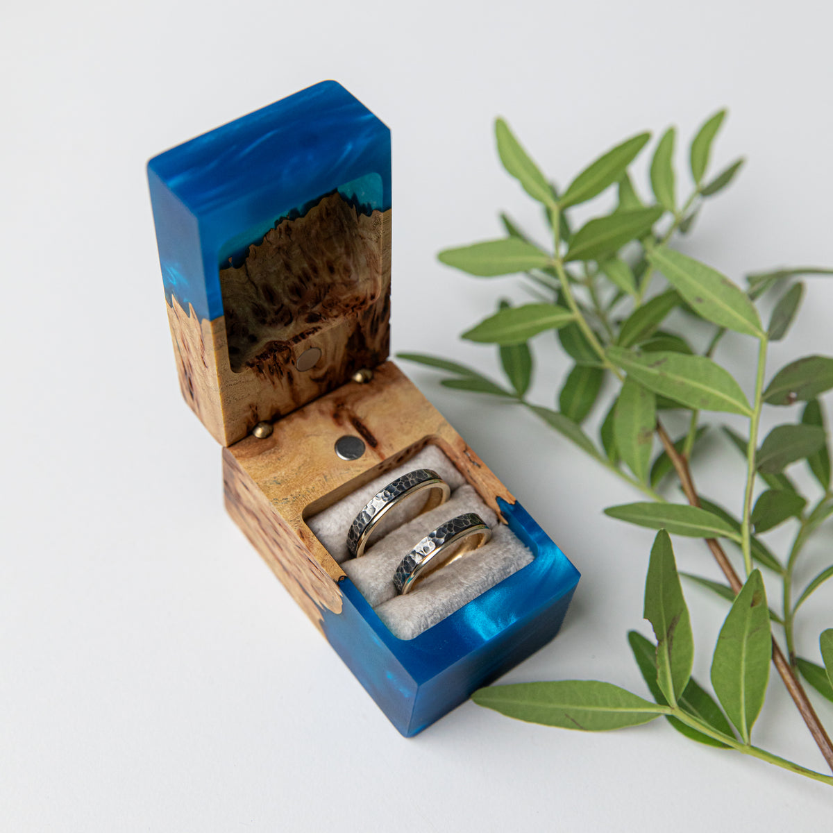 Angled view of the open blue and elm box with two rings among green leaves