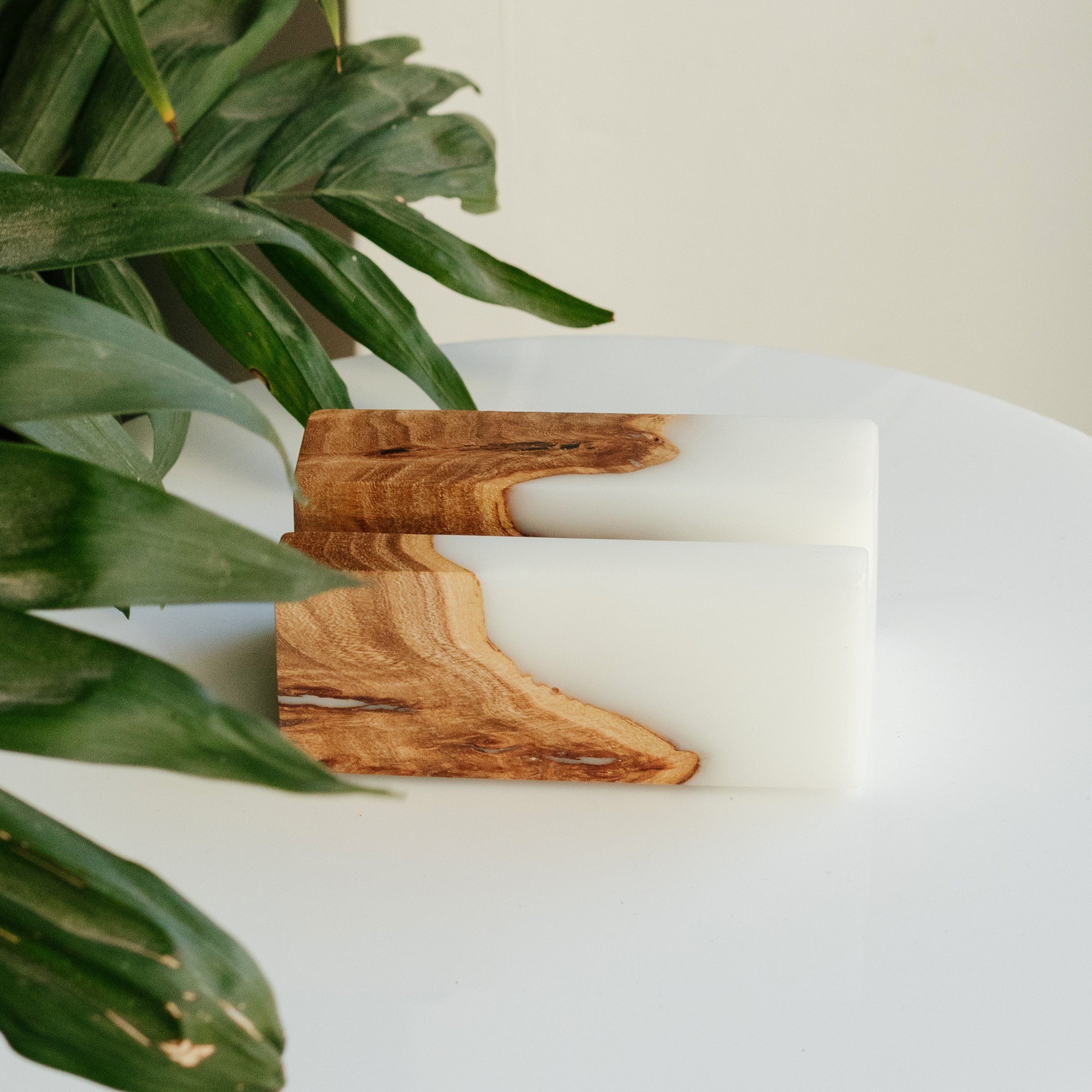 Wood & Resin Card Holder ELEMENT – Elm White